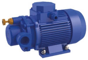 PG-60-25 gerotor pump